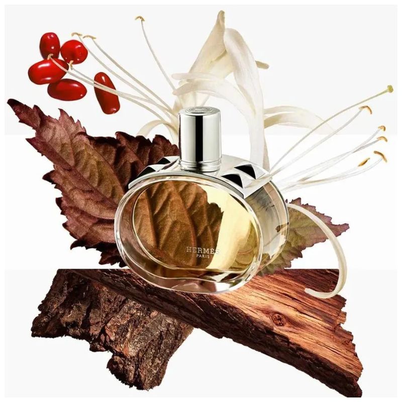 Hermes Barenia — perfume mujer original en Colombia | Disfragancias