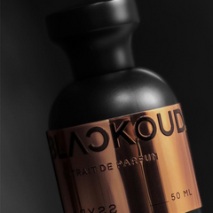 Blackoud ABYSS — perfume unisex original en Colombia | Disfragancias