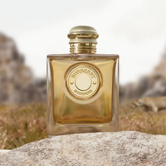 Burberry goddess intense — perfume mujer original en Colombia | Disfragancias