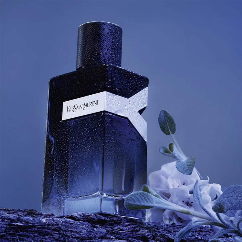 Yves Saint Laurent Y Eau De Parfum — perfume hombre original en Colombia | Disfragancias