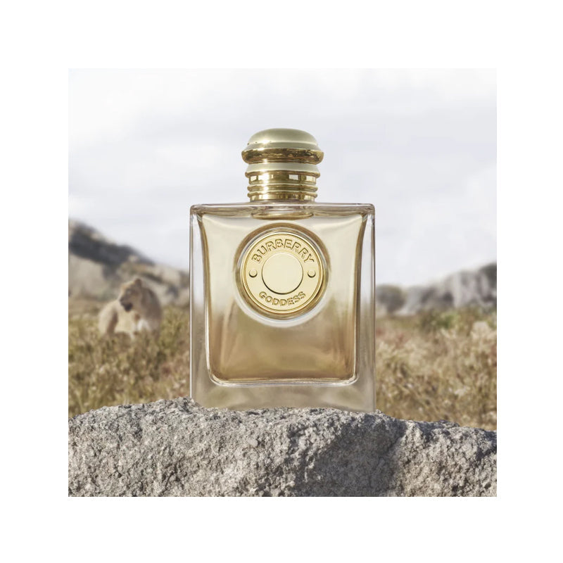 Burberry Goddess — perfume mujer original en Colombia | Disfragancias